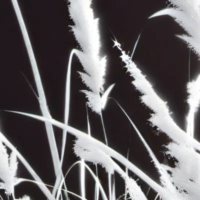 chat with ai character: King 