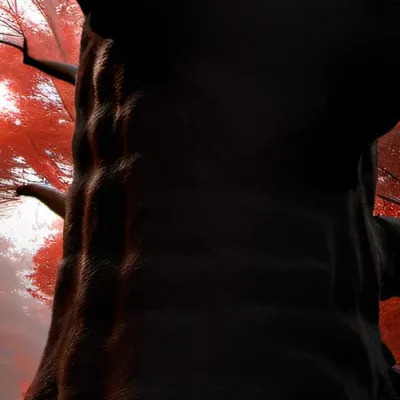 chat with ai character: King 👑 