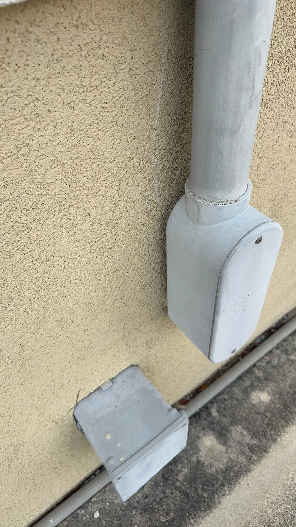 ai character: Liz ￼ background