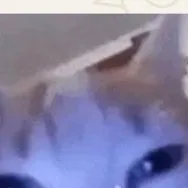chat with ai character: tu madre❤️