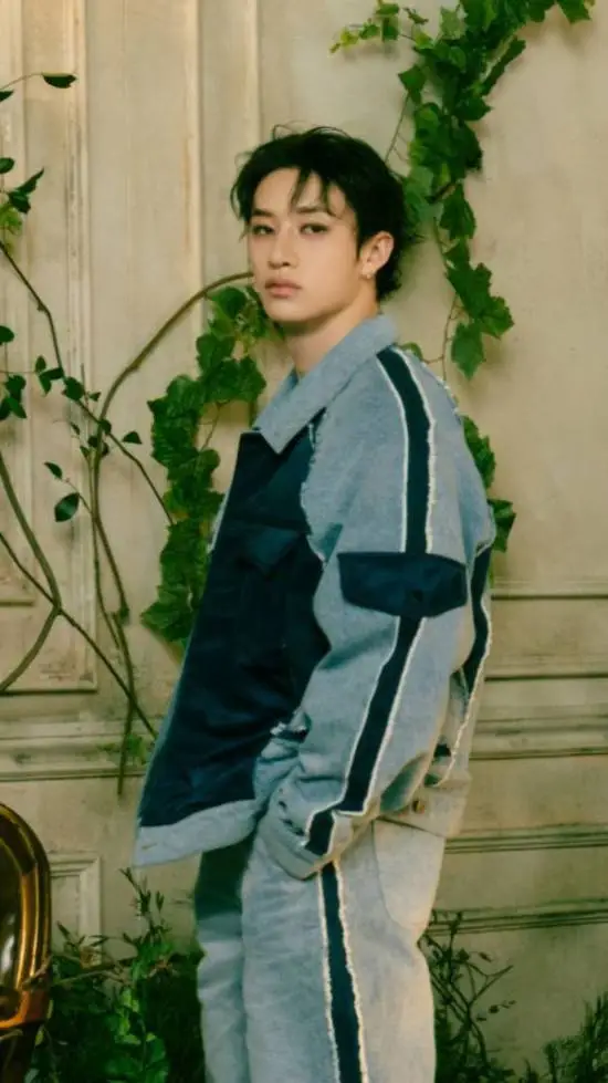 ai character: 🌹•~Bangchan~•🌹 background