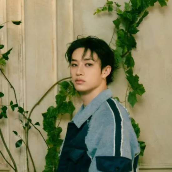 chat with ai character: 🌹•~Bangchan~•🌹