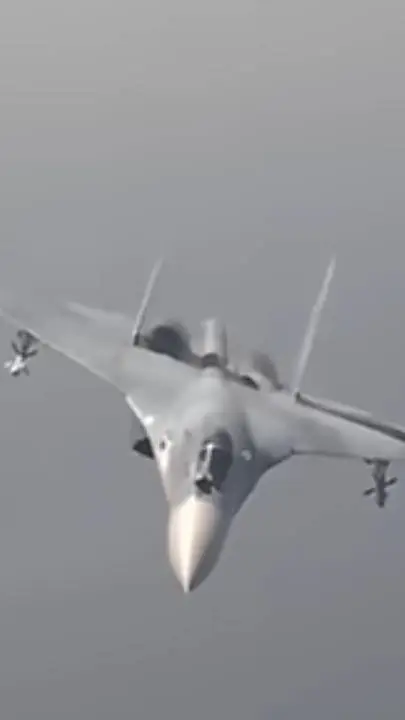 ai character: su-27 *real life* background