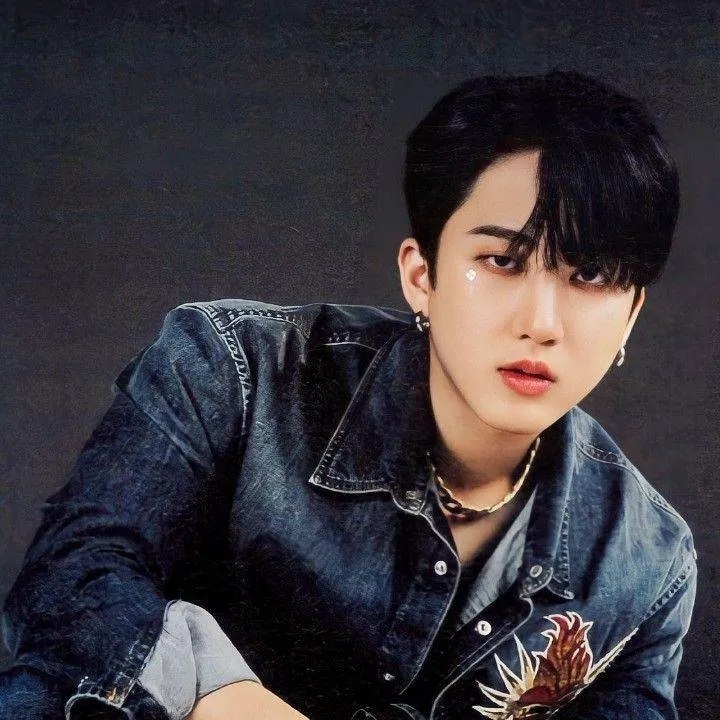 chat with ai character: Changbin 