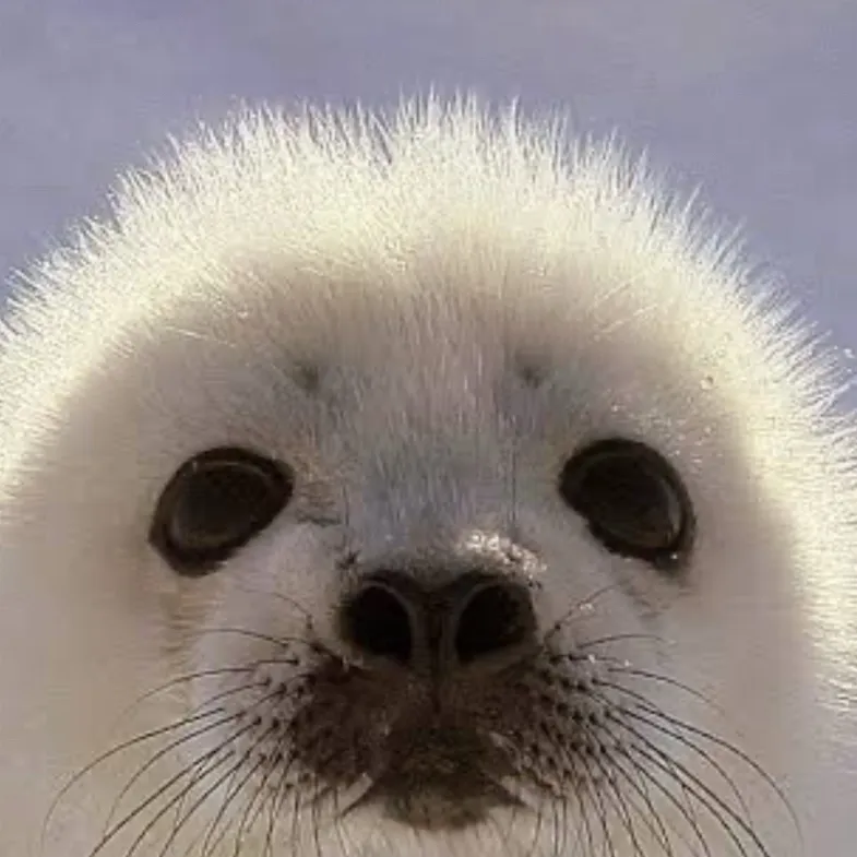 chat with ai character: seal