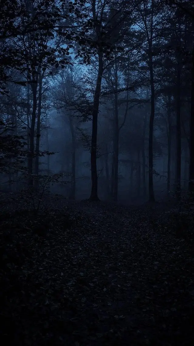 Talkie AI - Chat with mha field trip 