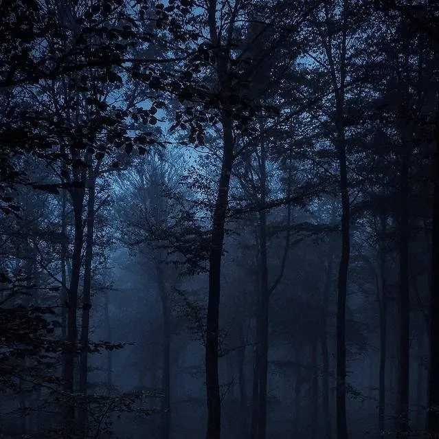 chat with ai character: mha field trip 