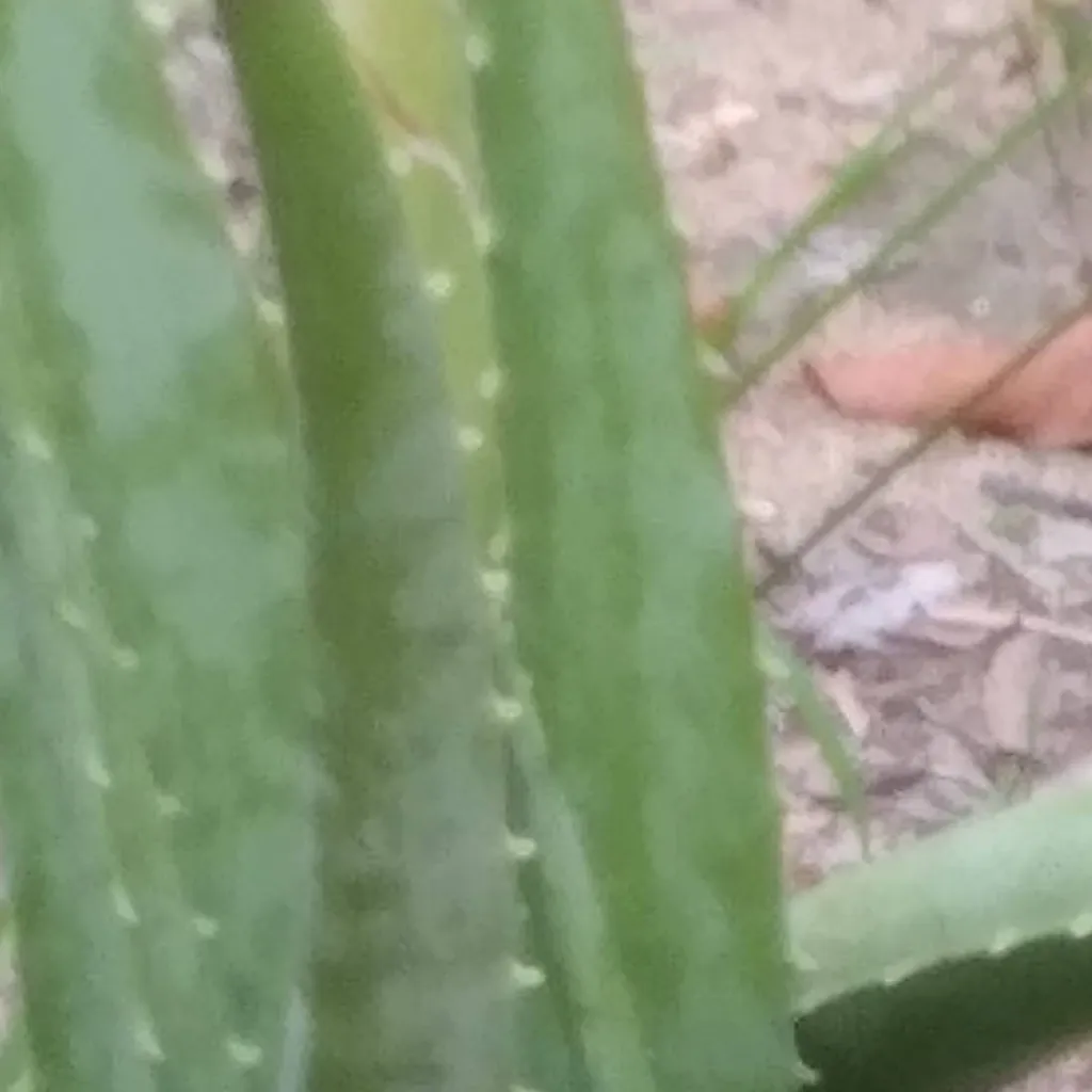 chat with ai character: todos os brainrots