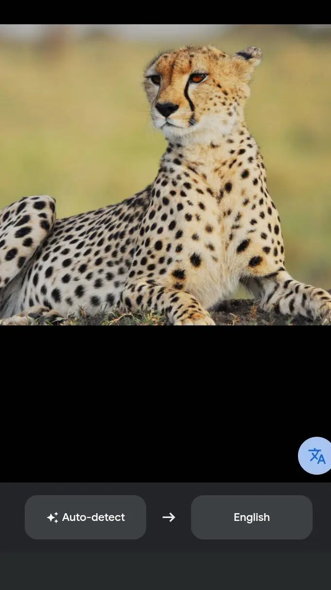 ai character: cheetah background