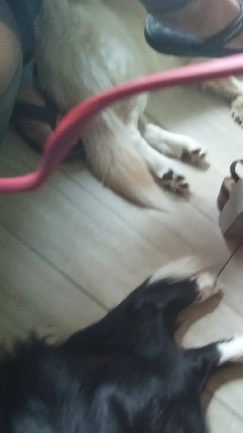 ai character: blue et sisou background