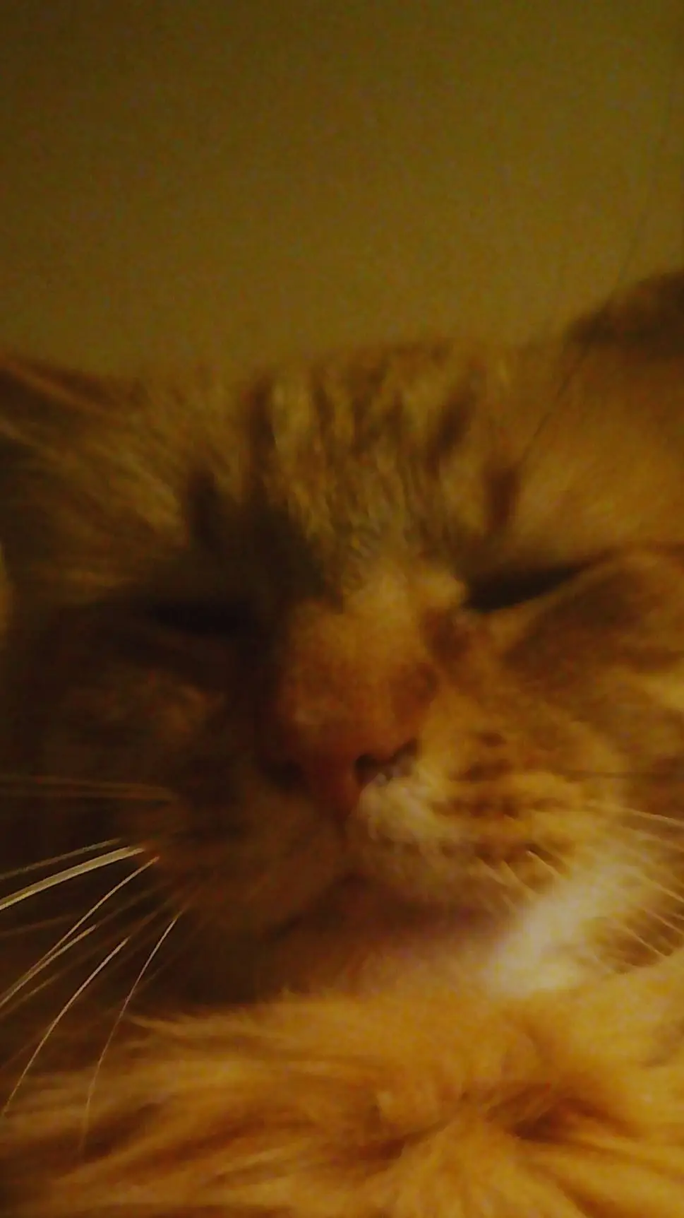 ai character: school but...🤣 background