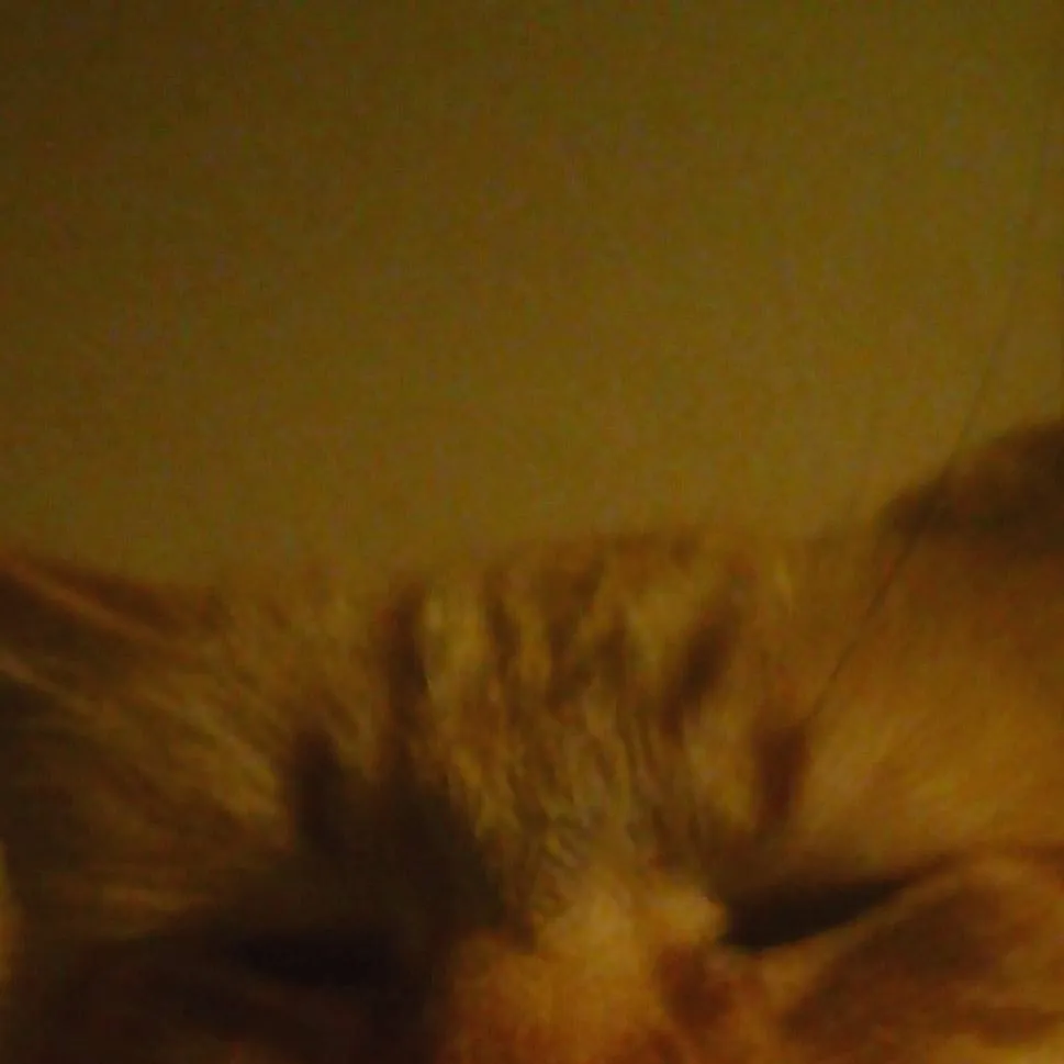 chat with ai character: school but...🤣