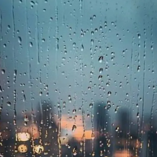 chat with ai character: Rain 