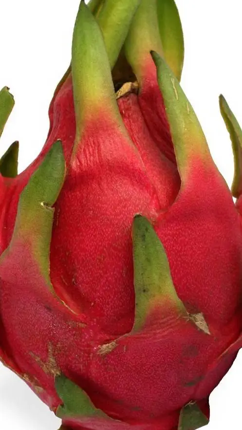 ai character: Milestone4 1x1x1x1 background