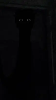 ai character: Jerald <3 background