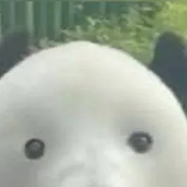 chat with ai character: Panda yes yes