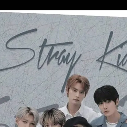 chat with ai character: 🎙️skz🎙️