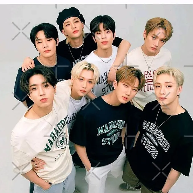 chat with ai character: skz rip 