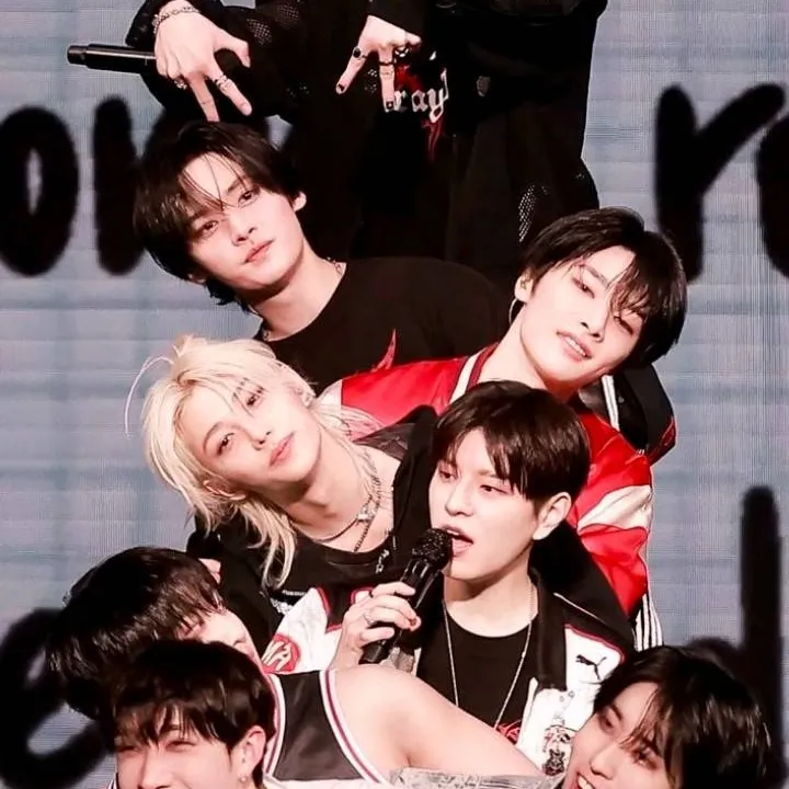 chat with ai character: 🥜skz🥜
