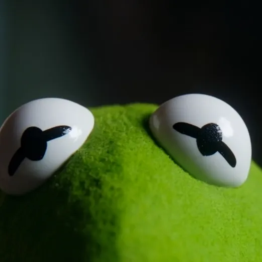 chat with ai character: Kermit the frog.