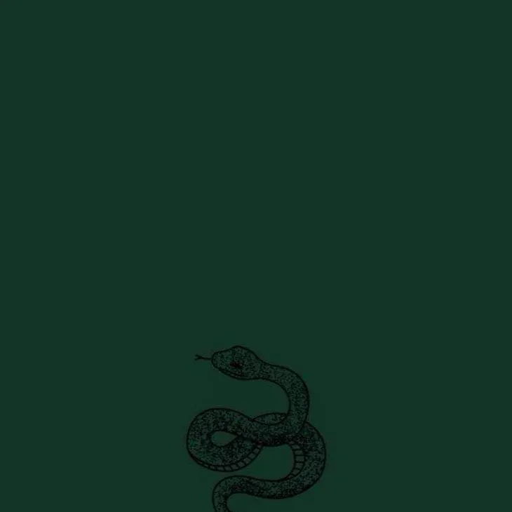 chat with ai character: Slytherin GC 
