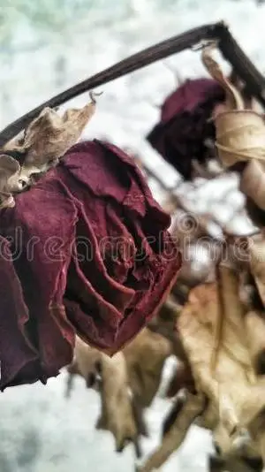 ai character: pvc (AGAIN-) background