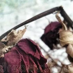 chat with ai character: pvc (AGAIN-)