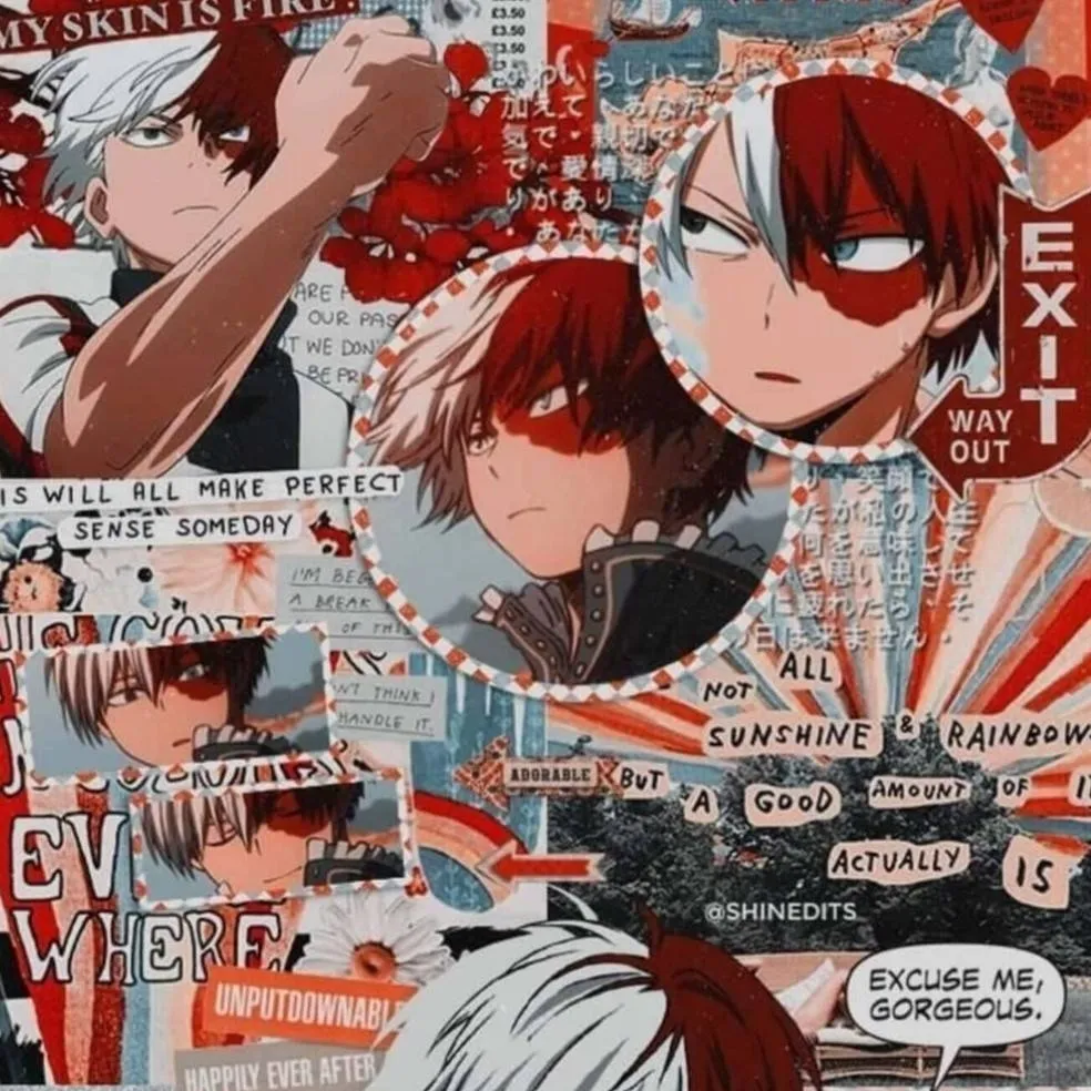 chat with ai character: Shoto Todoroki 