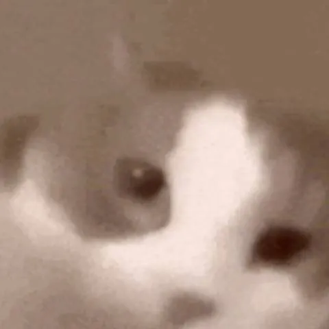 chat with ai character: Animation RP 