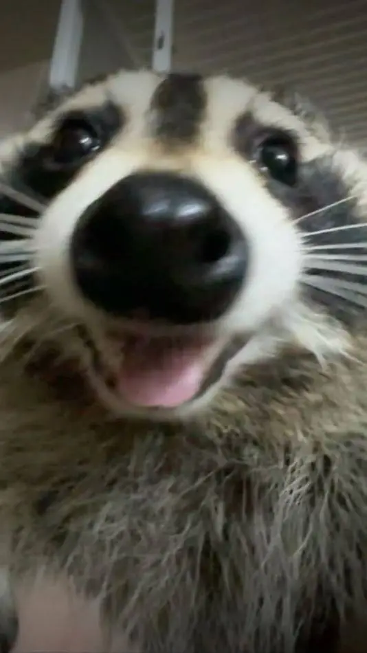 ai character: Arroyo School :3 background