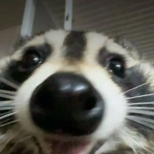 chat with ai character: Arroyo School :3