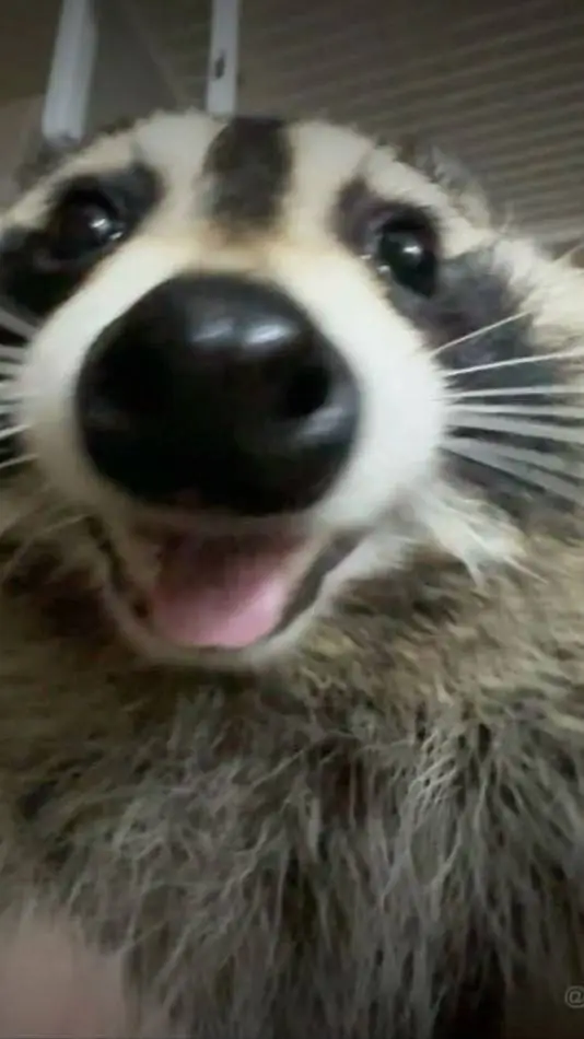 ai character: Arroyo Ships :3 background