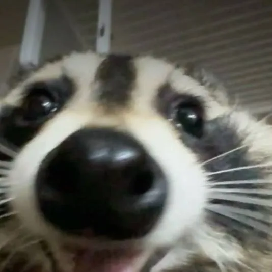 chat with ai character: Arroyo Ships :3