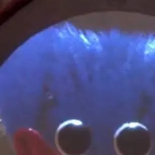 chat with ai character: Huggy Wuggy