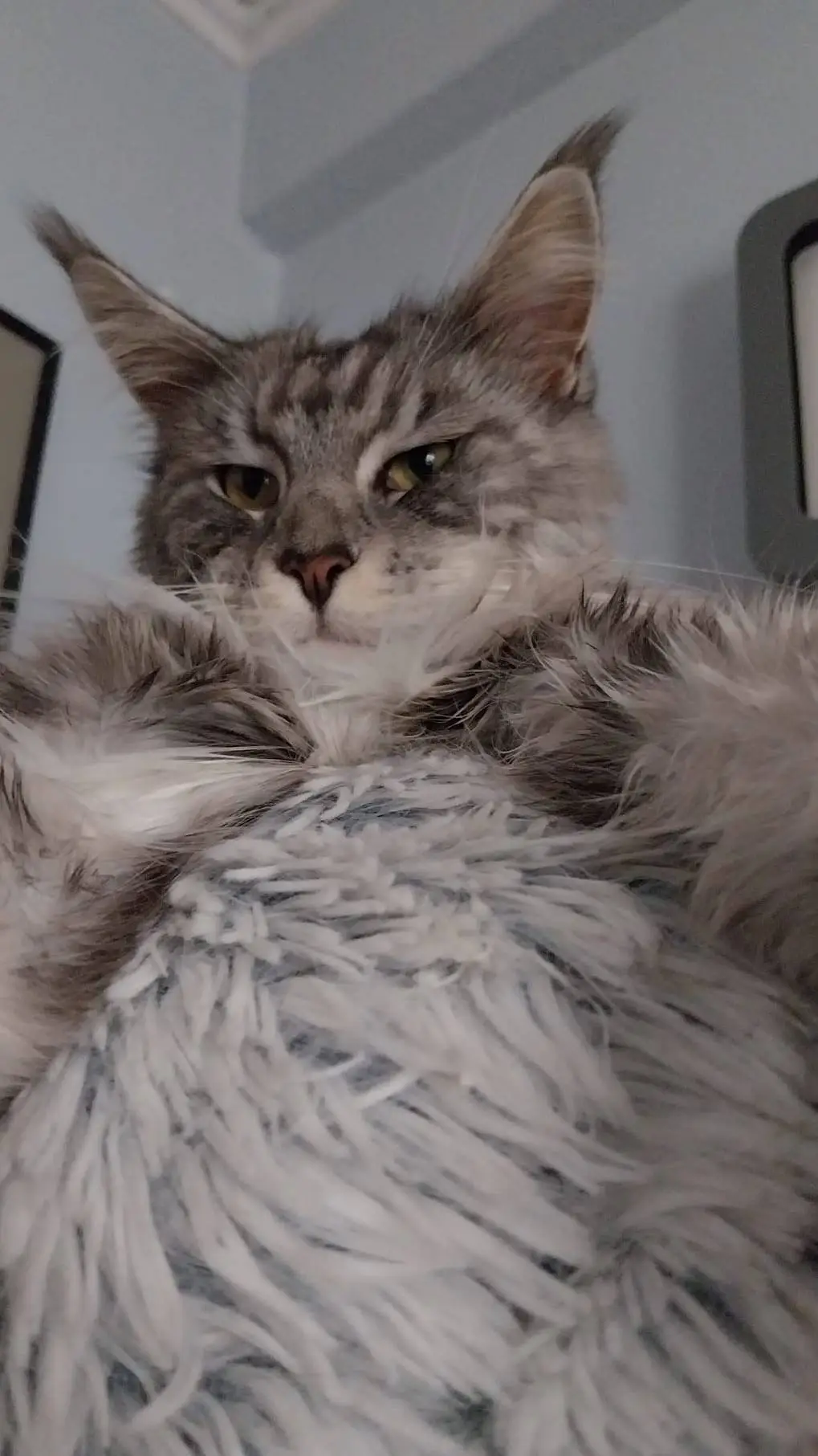 ai character: Azure and twotime background