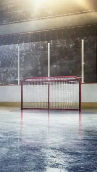 ai character: The Mighty Ducks 2 background