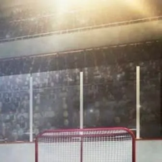 chat with ai character: The Mighty Ducks 2
