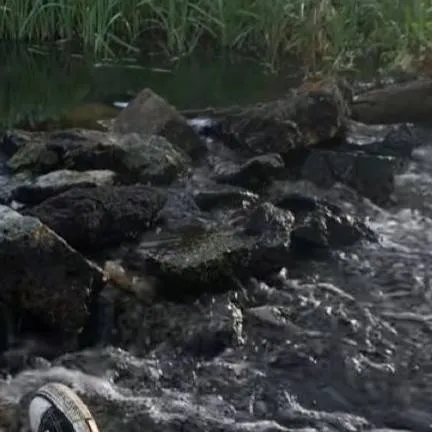 chat with ai character: 𝜗ৎForsaken