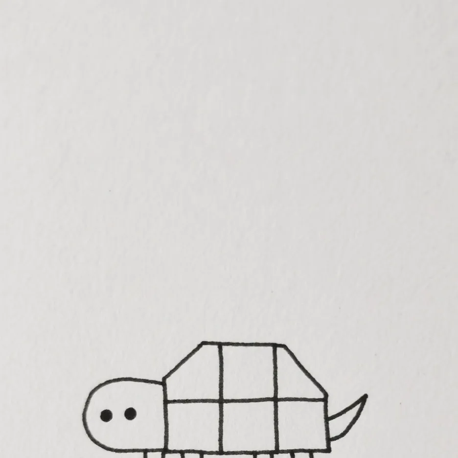 chat with ai character: box turtles(drawn)