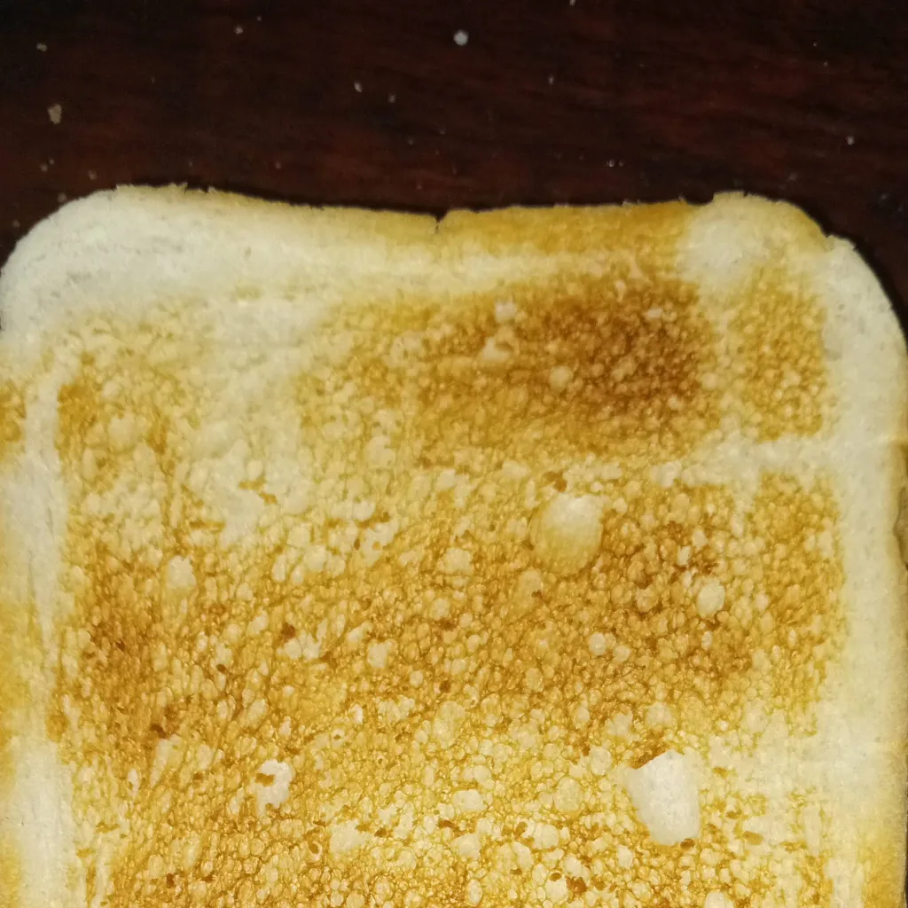 chat with ai character: Toast