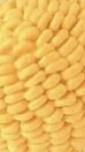 ai character: rng background