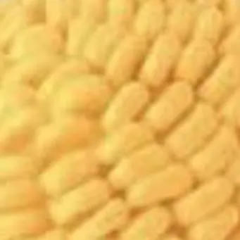 chat with ai character: rng