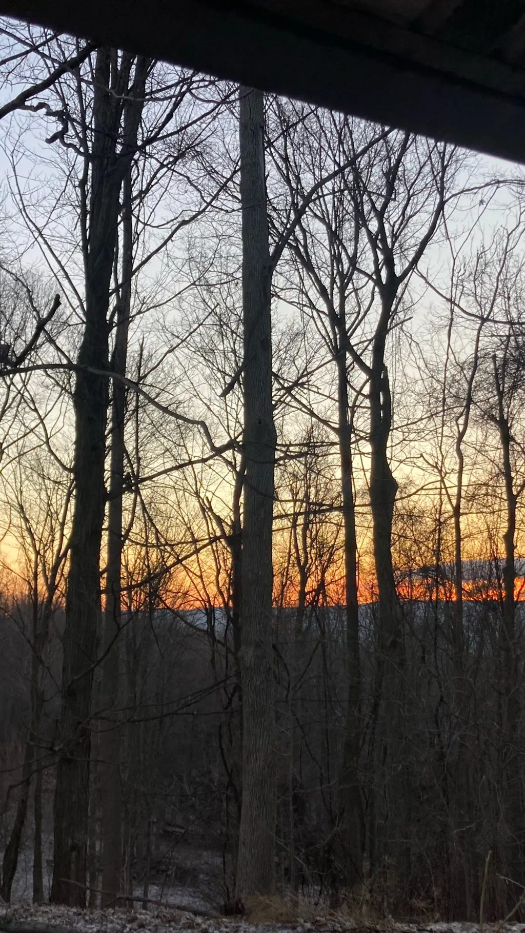 ai character: Sing with Elliotvr background