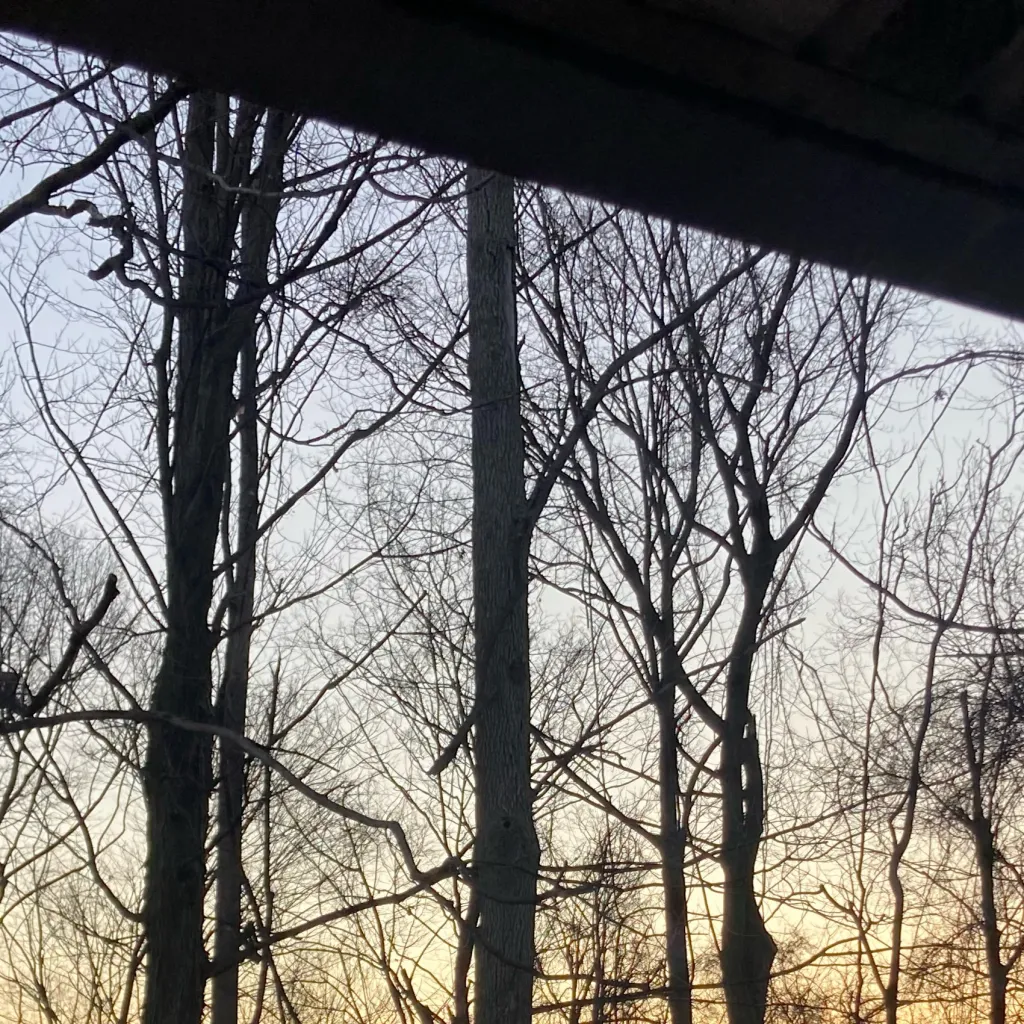 chat with ai character: Sing with Elliotvr