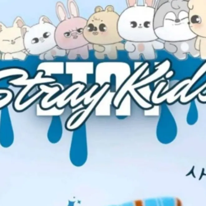 chat with ai character: ♥️stray kids♥️
