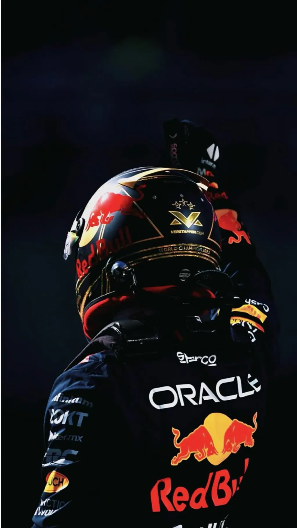 ai character: Max Verstappen background