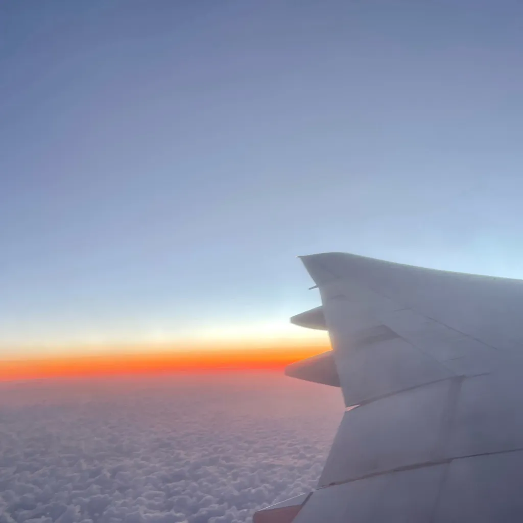 chat with ai character: Ice Age