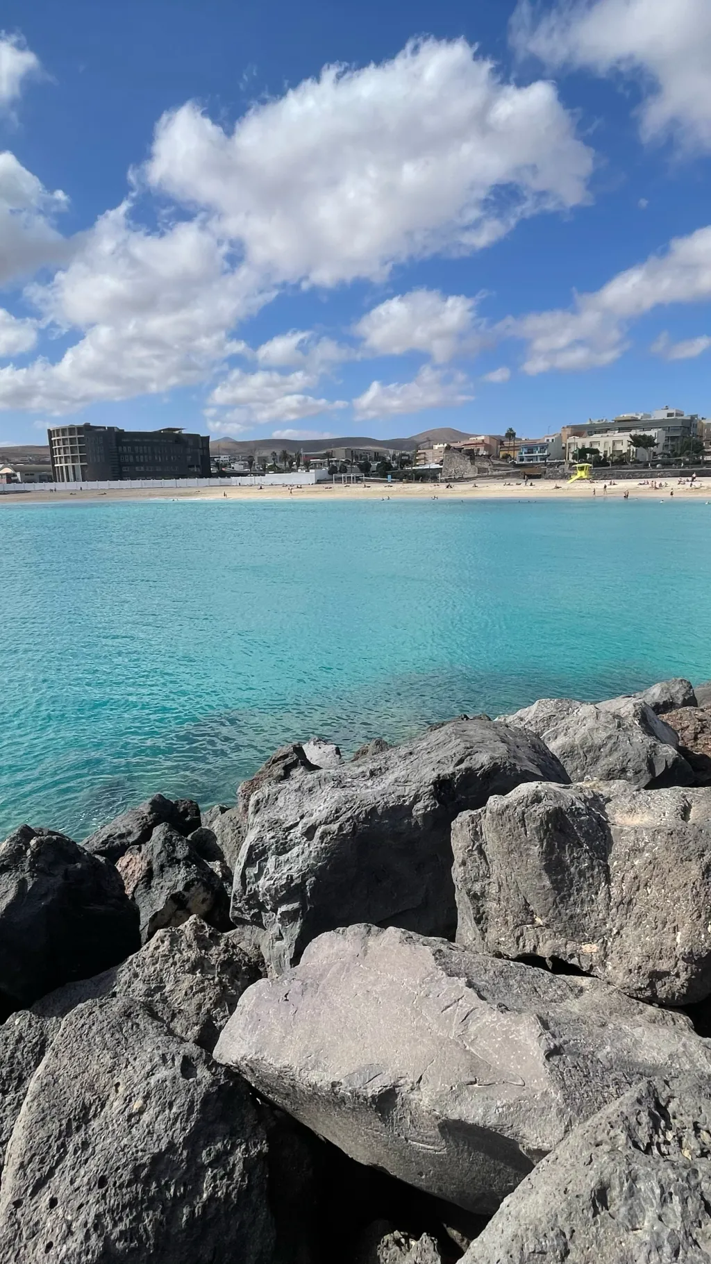 ai character: BovBoys background