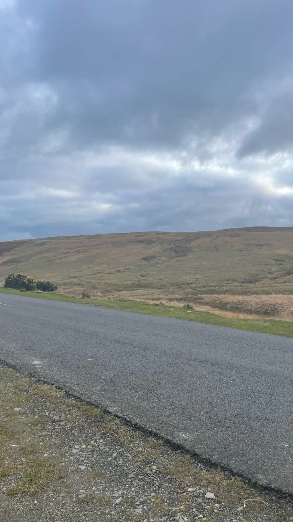 ai character: Octonauts  background