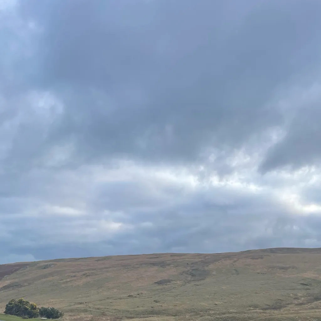 chat with ai character: Octonauts 